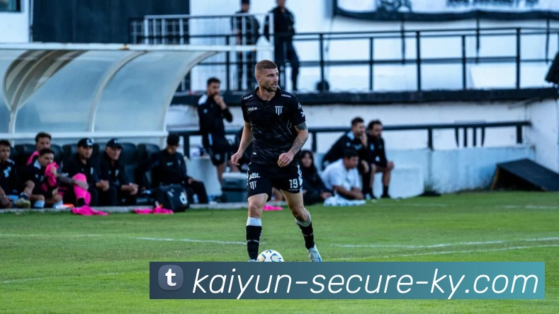 开云平台生态图